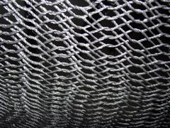 A photo of a hammock